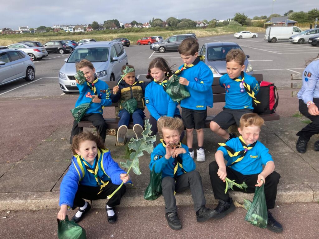beavers2