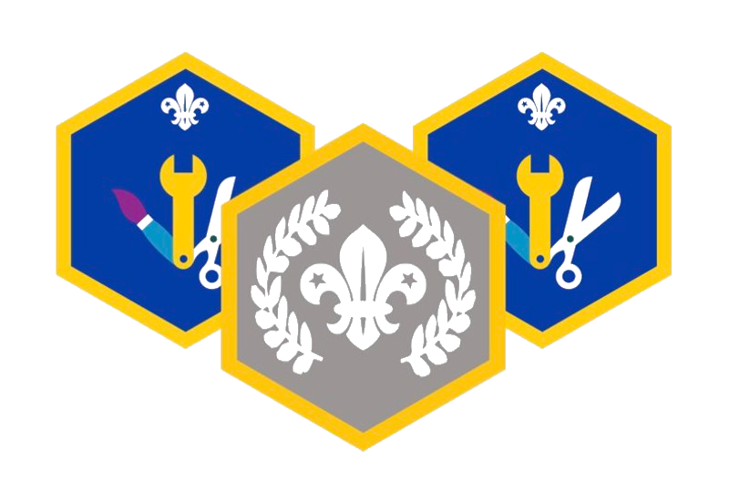 Cubs challenge badges