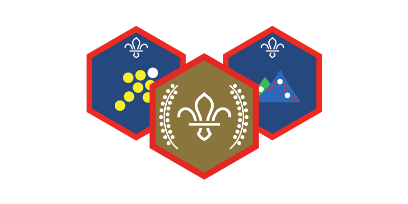 Scouts challenge awards